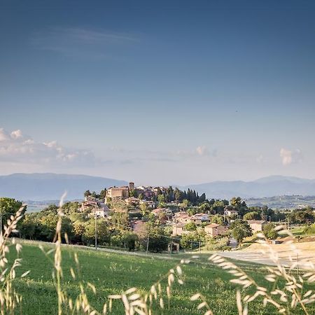 Domus In Castro Bed & Breakfast Montecchio  Exterior foto
